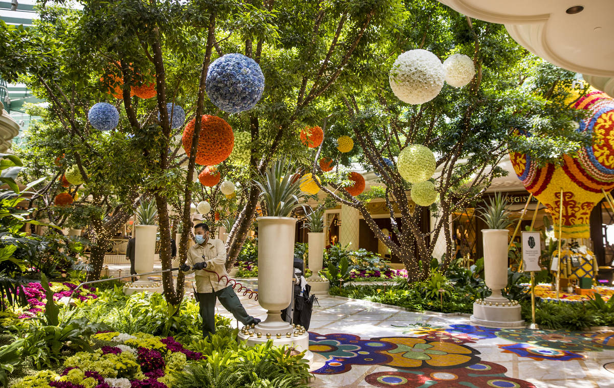 The garden area inside the Wynn Las Vegas is in full color as Gov. Steve Sisolak is on hand to ...