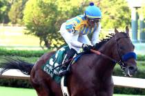 Jjockey Joel Rosario and Nadal cross the wire to win the second division of the Arkansas Derby ...