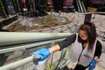 In a Thursday, June 11, 2020, file photo, Andrea Castaneda cleans the railings at Universal Cit ...