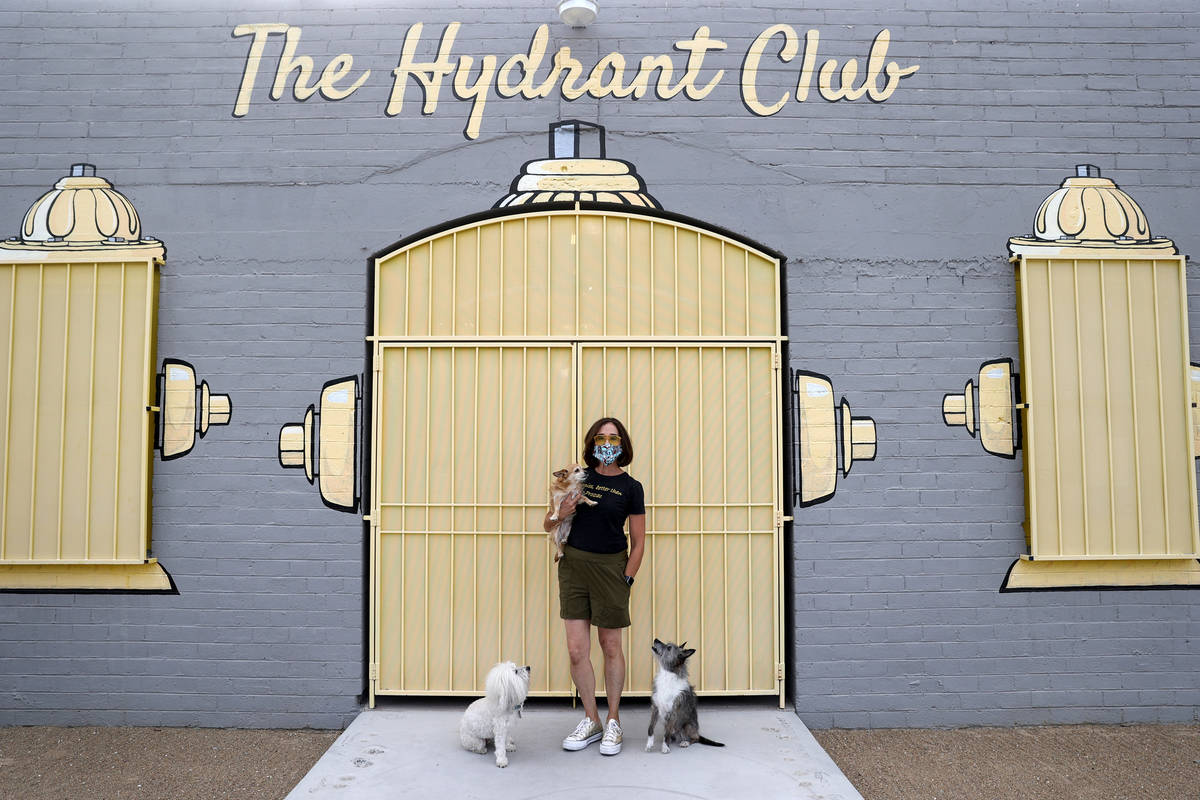 Cathy Brooks, owner of The Hydrant Club, with her dogs, from left, Inigo Montoya, Harlow and Br ...
