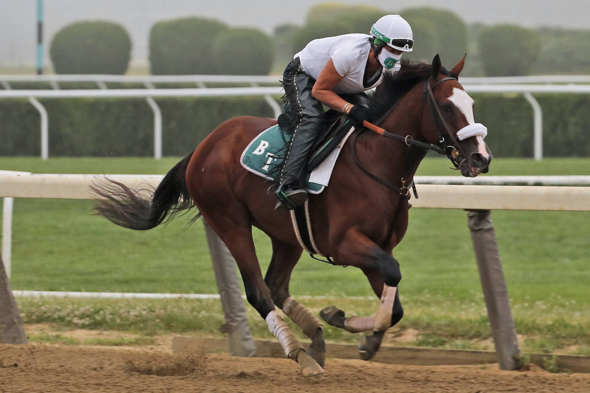 belmont stakes horse by horse analysis by las vegas bookmaker las vegas review journal