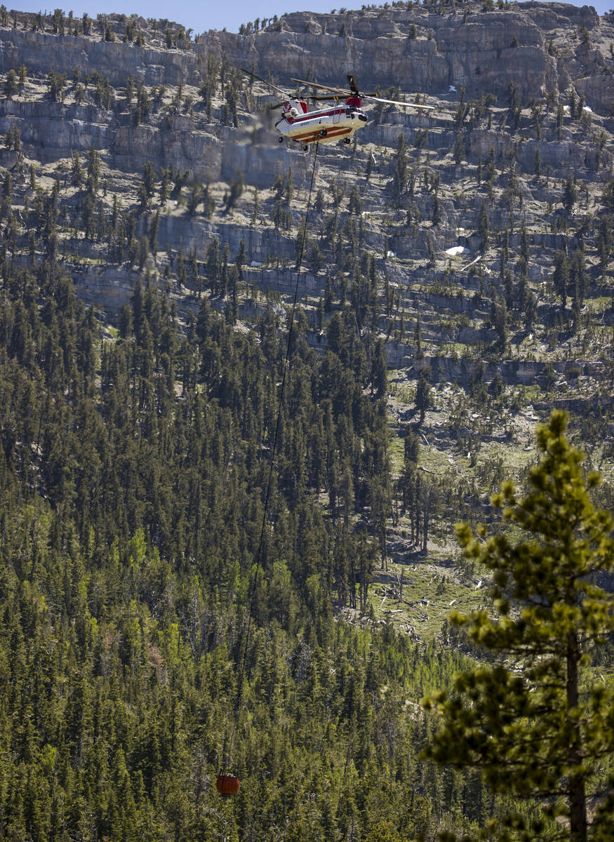 A helicopter with water bucket fills up at the Lee Canyon Ski Resort for another drop over the ...