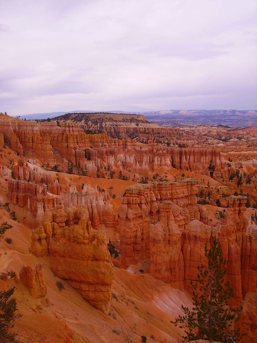 Bryce Canyon National Park’s elevations range from 8,000 feet to 9,100 feet. (Deborah Wall/La ...