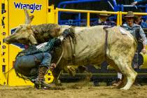 Trey Benton II of Rock Island, Texas, is knocked off and takes a horn in Bull Riding at the ten ...