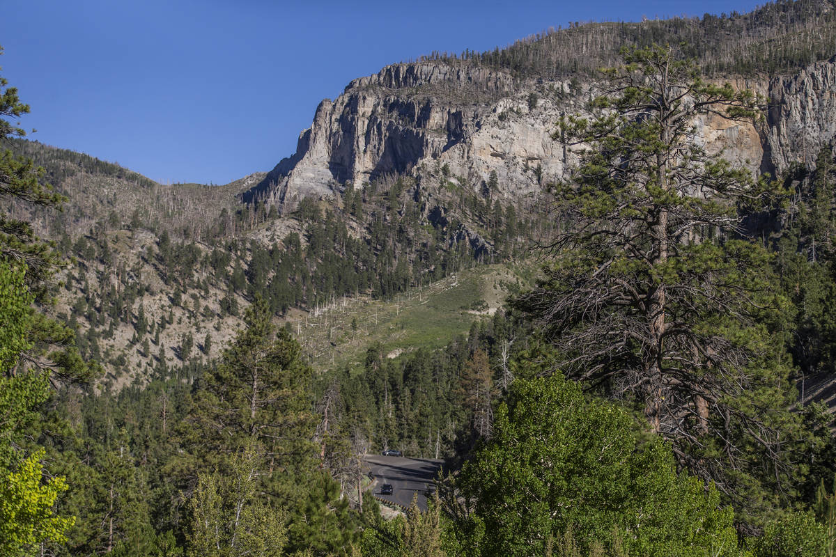 Mount Charleston on Tuesday, July 7, 2020, near Las Vegas. (Benjamin Hager/Las Vegas Review-Jou ...