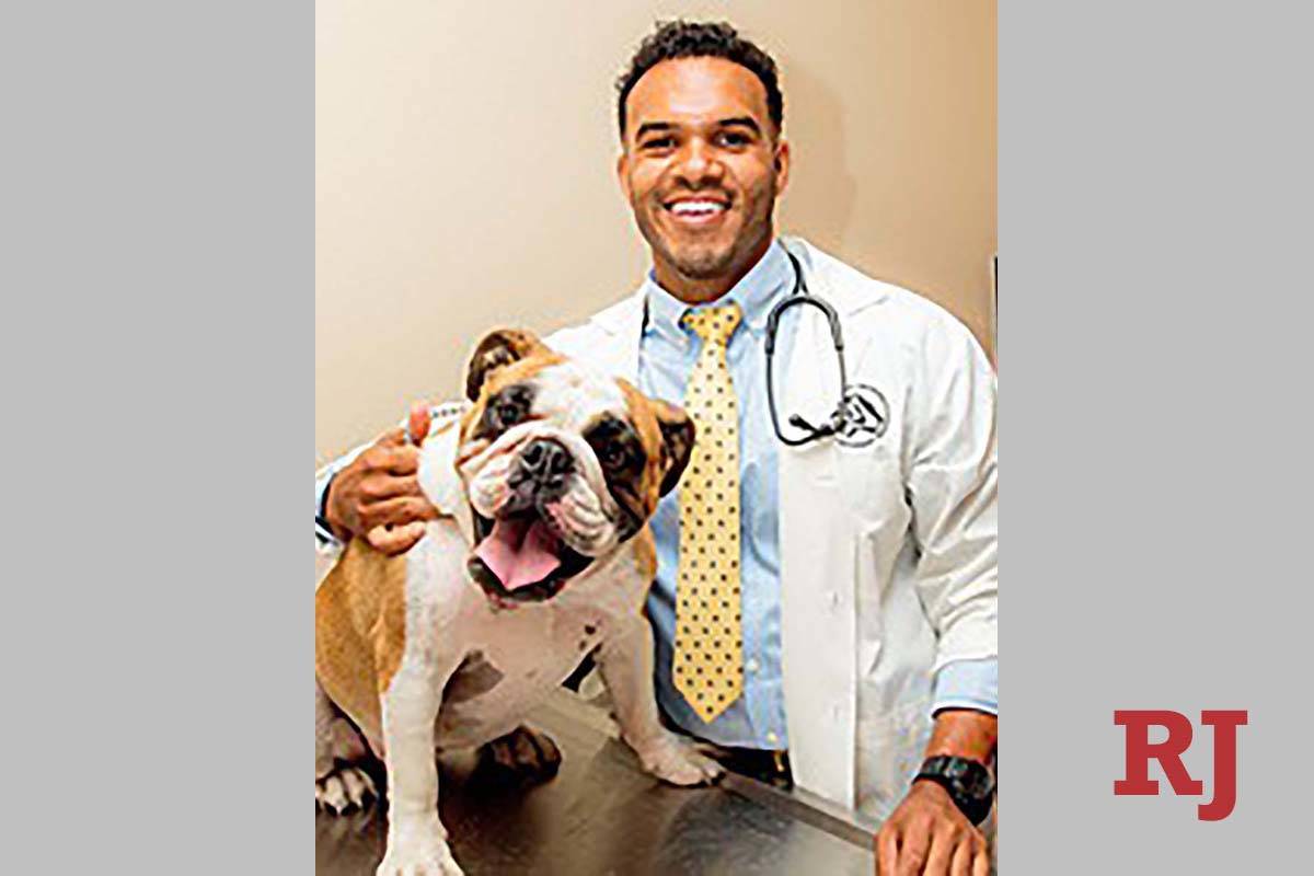 Halloween Breddegrad Elastisk Dr. Aaron Bivens, a veterinarian at South Buffalo Springs Animal Hospital,  with his English Bul … | Las Vegas Review-Journal