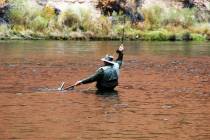 Recreational fishing has seen a significant increase in participation as people seek a respite ...