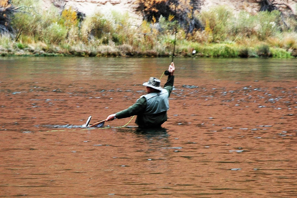 Recreational fishing has seen a significant increase in participation as people seek a respite ...