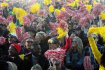 FILE - In this Wednesday, Jan. 1, 2020, file photo, Rose Parade spectators cheer for the televi ...