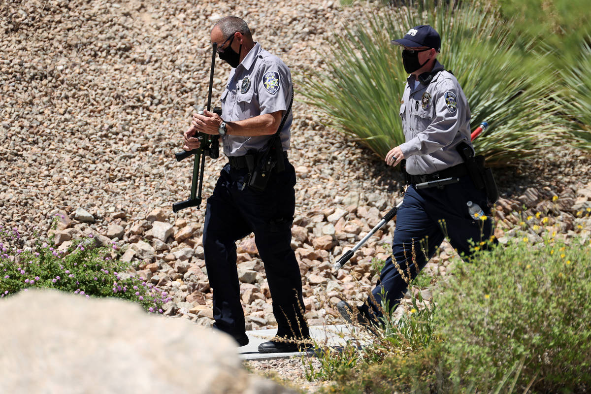Multi-agency officers respond to a mountain lion sighting at The Paseos community near Alta Dri ...