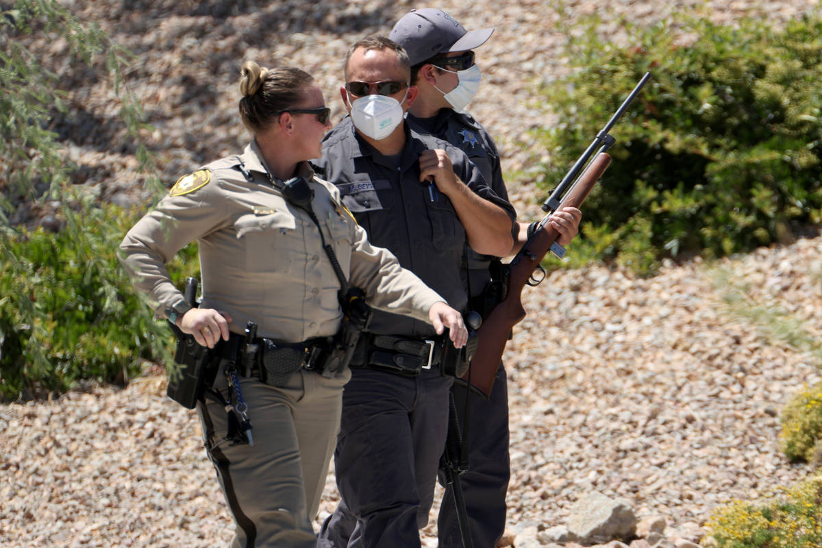 Multi-agency officers respond to a mountain lion sighting at The Paseos community near Alta Dri ...