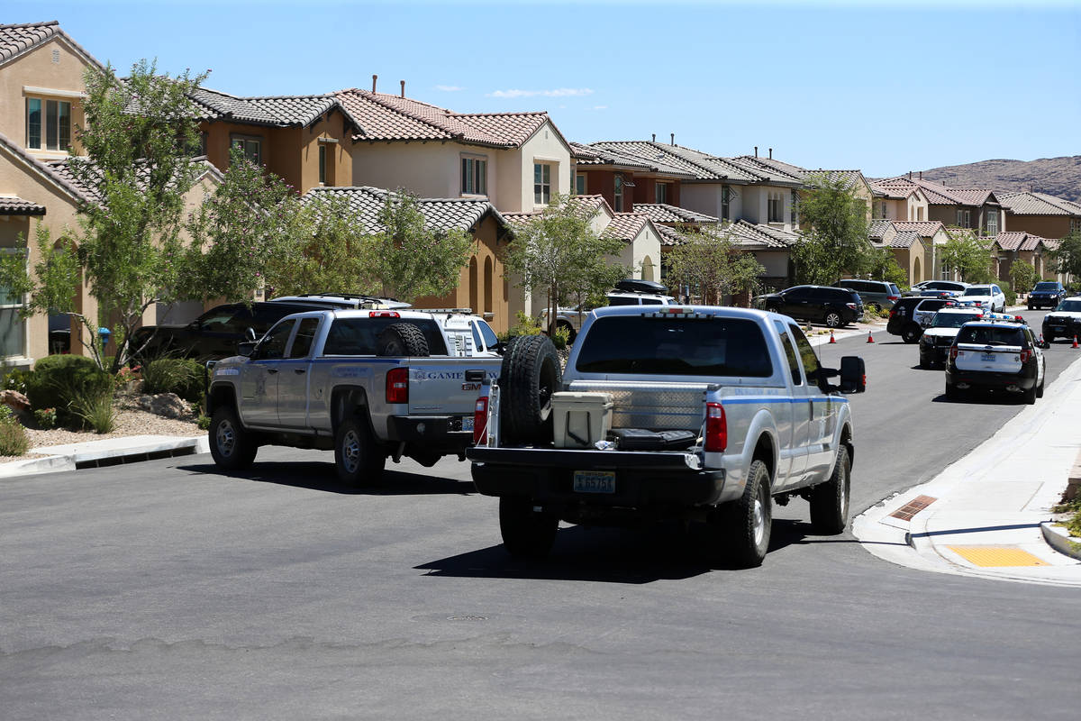 Multi-agency officers respond to a mountain lion sighting at The Paseos community near Alta Dri ...