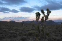The Desert National Wildlife Refuge in Nevada is shown in this undated courtesy photograph. A $ ...