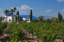 Pahrump Valley Winery (Facebook)