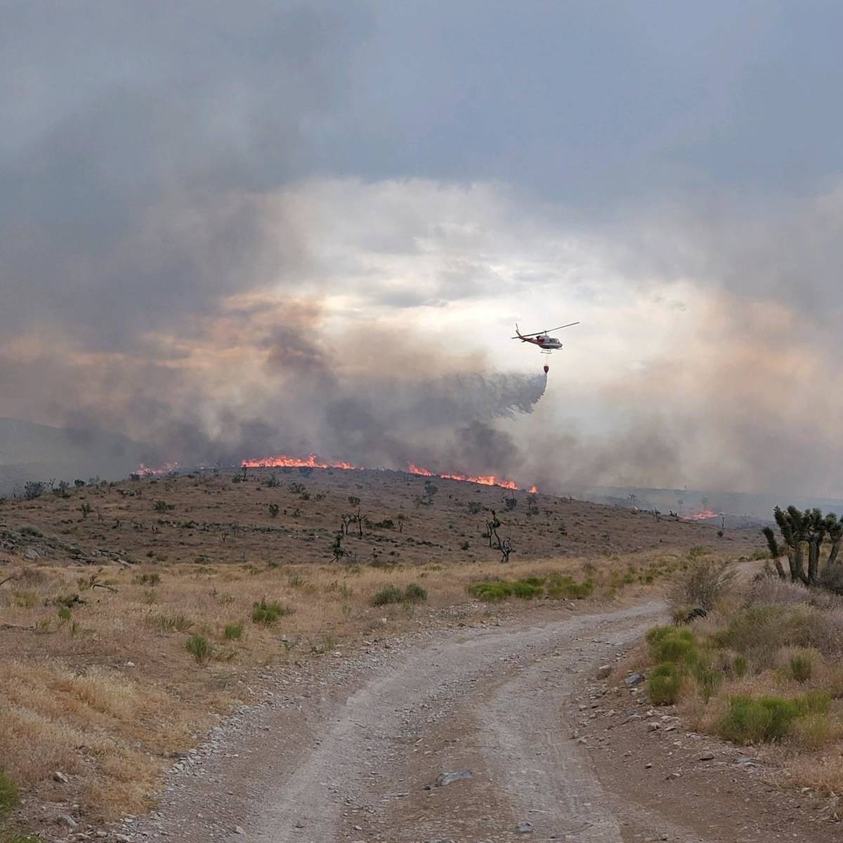 Wildfire burning southwest of Las Vegas nearly contained Local Las