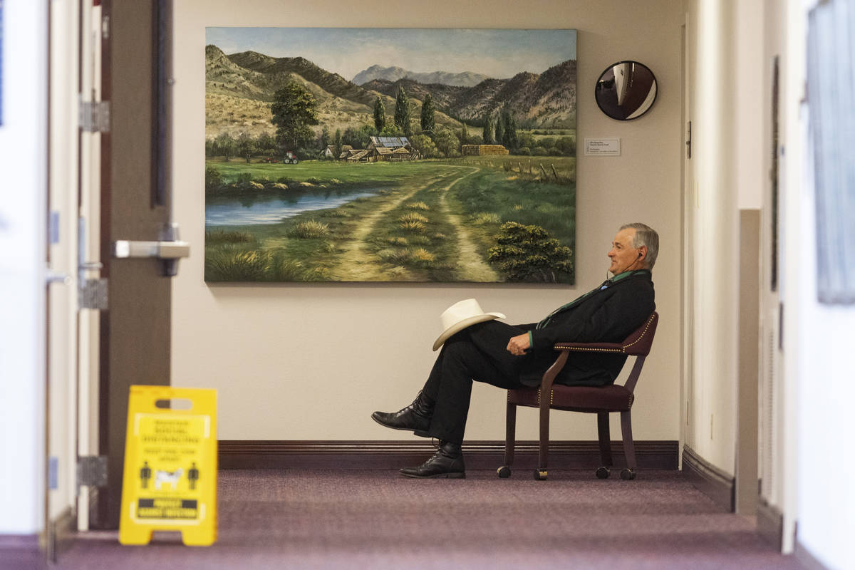 Senate Minority Leader James Settelmeyer makes a phone call outside his office on Friday, July ...
