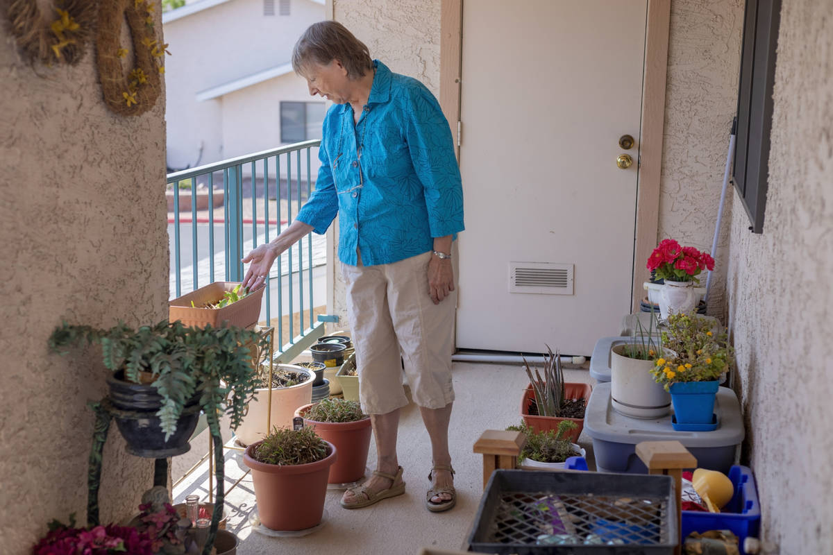 Sunset Garden Club president Nancy Bovill shows her plants on her patio in Henderson on Tuesday ...