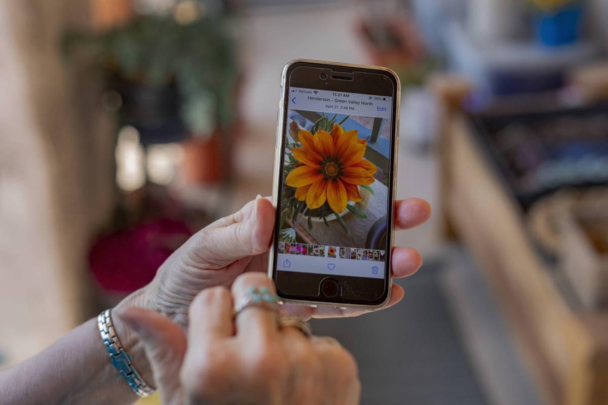 Sunset Garden Club president Nancy Bovill shows a photograph of her flowers that bloom in sprin ...
