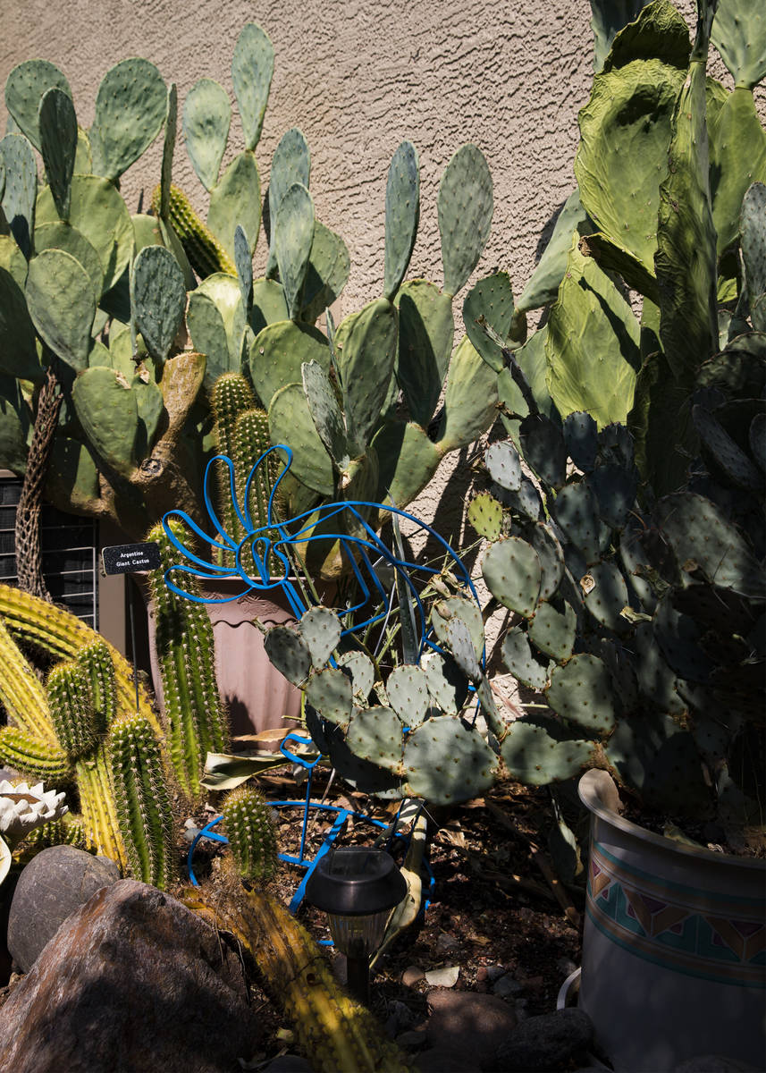 The garden of Marie Kaplan at her home in Henderson, Tuesday, Aug. 4, 2020. She says her plants ...