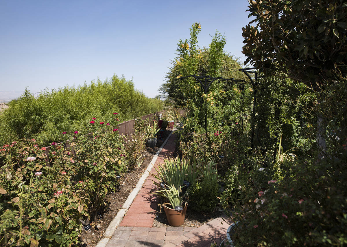 The garden of Marie Kaplan at her home in Henderson, Tuesday, Aug. 4, 2020. She says her plants ...