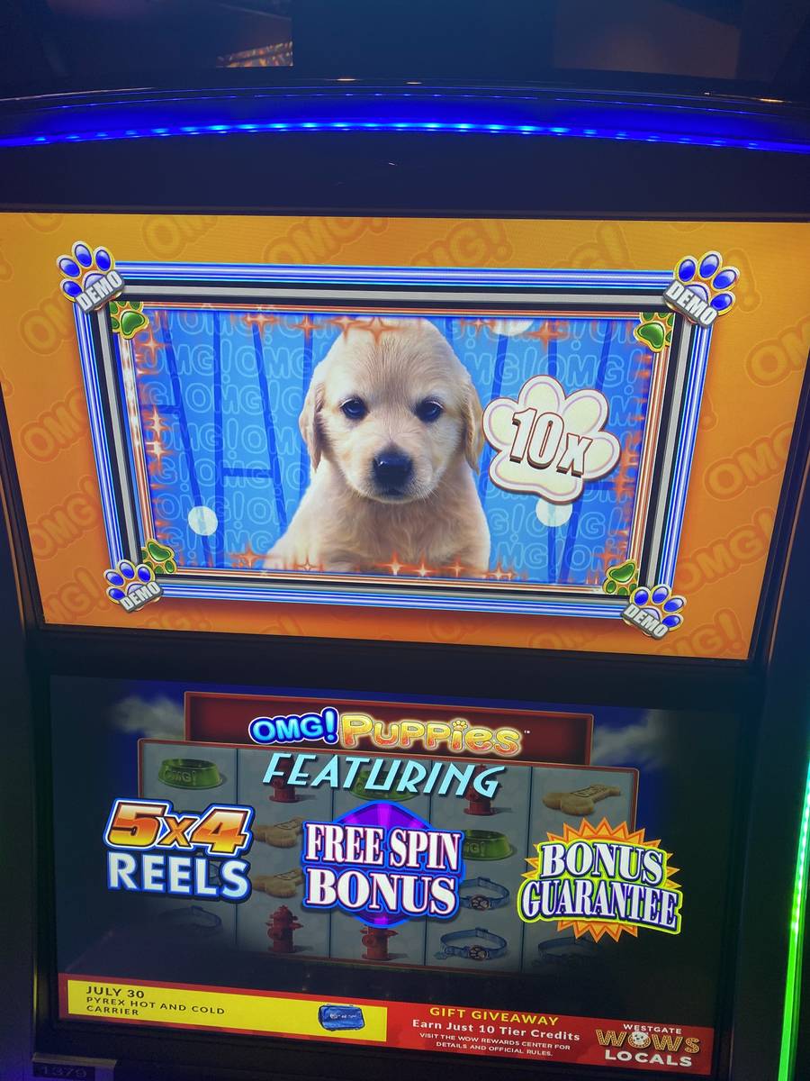 A shot of an OMG! Puppies slot machine at Westgate Las Vegas on Friday, July 30, 2020. (John Ka ...