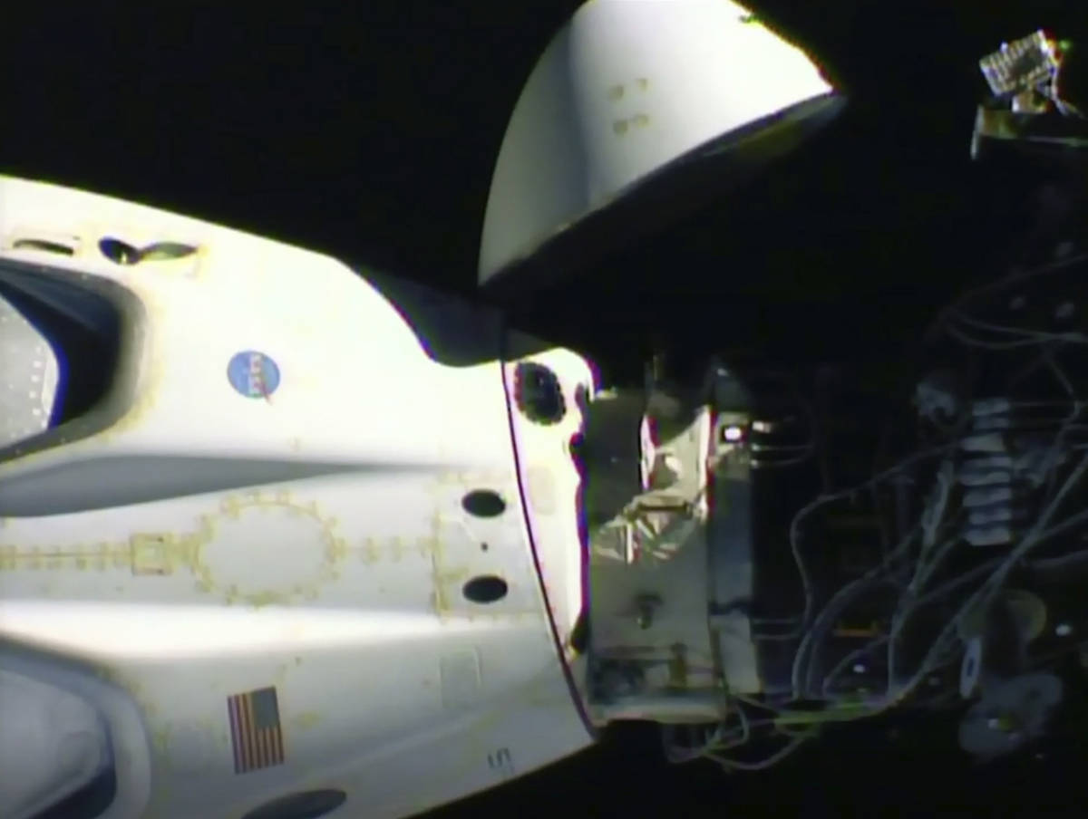 Get Spacex Dragon Capsule Launch Gif