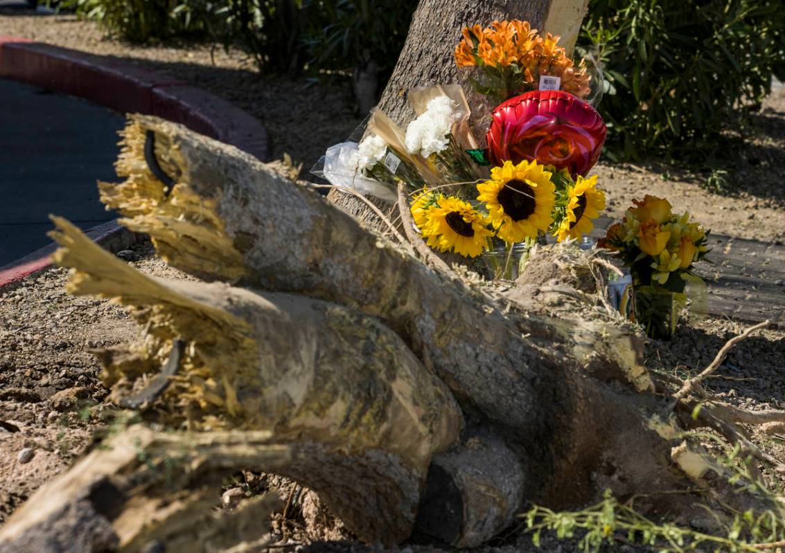 A small memorial has begun and tree limbs are still down near McDonalds where two teenage girls ...