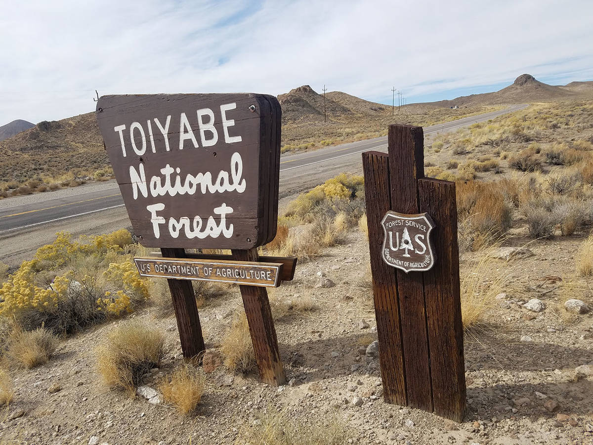 Humboldt-Toiyabe National Forest. (David Jacobs/Pahrump Valley Times)