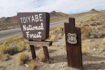 Humboldt-Toiyabe National Forest. (David Jacobs/Pahrump Valley Times)