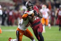 Clemson Tigers safety Tanner Muse (19) tries to hang onto South Carolina Gamecocks wide receive ...