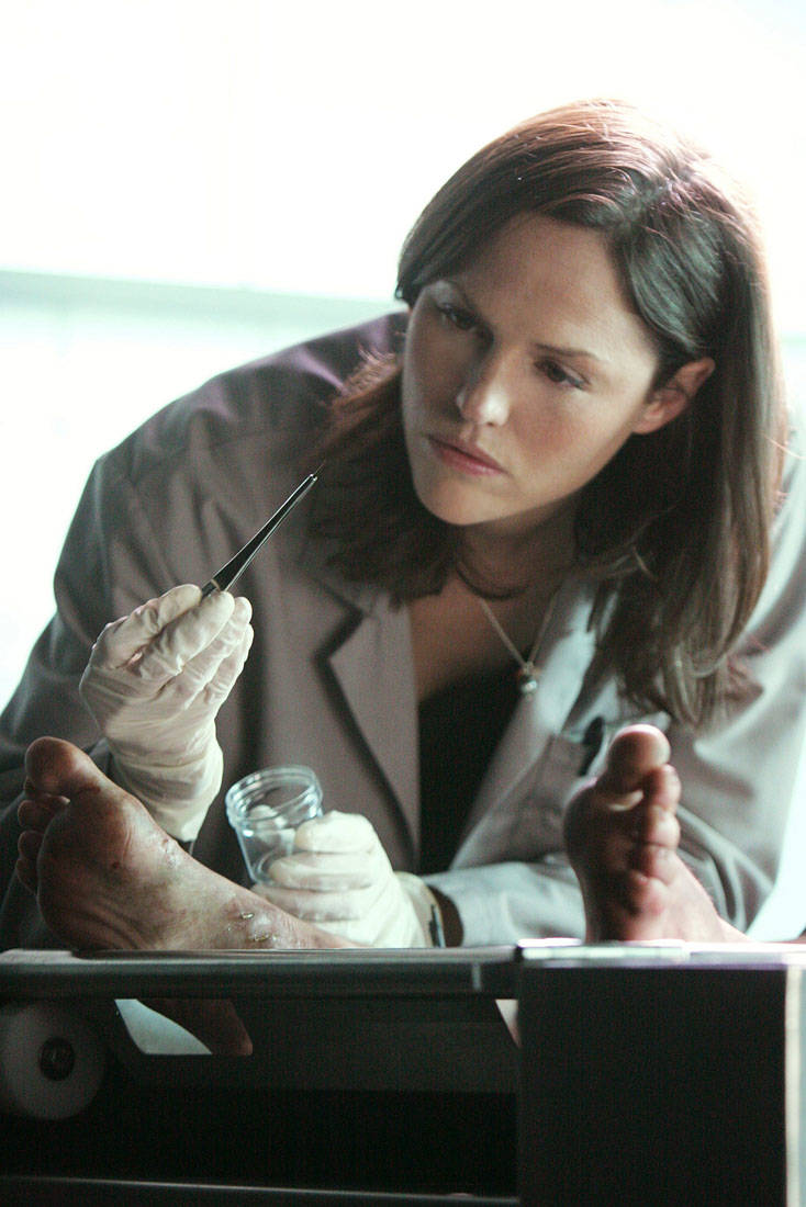 Jorja Fox is said to be in talks to return to the character Sara Sidle in a rebooted “CSI: Ve ...