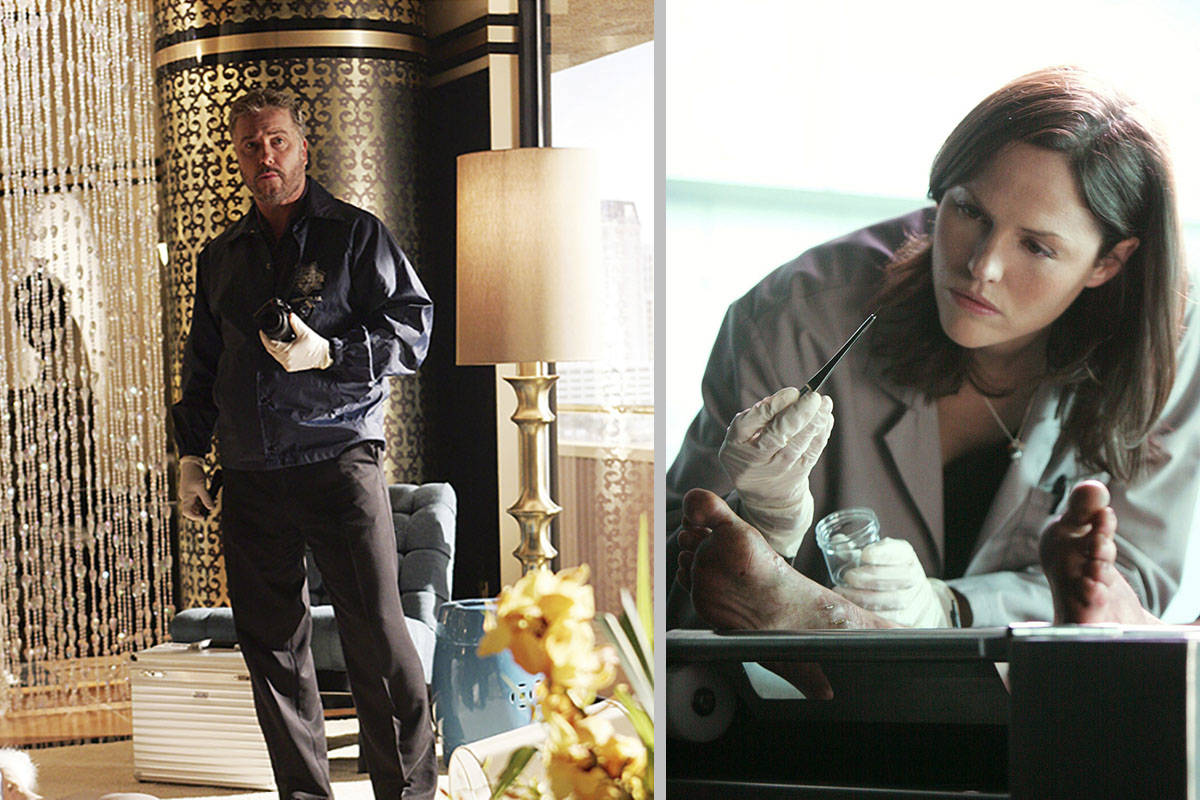 William Petersen, left, and Jorja Fox are said to be in talks to return to their original chara ...