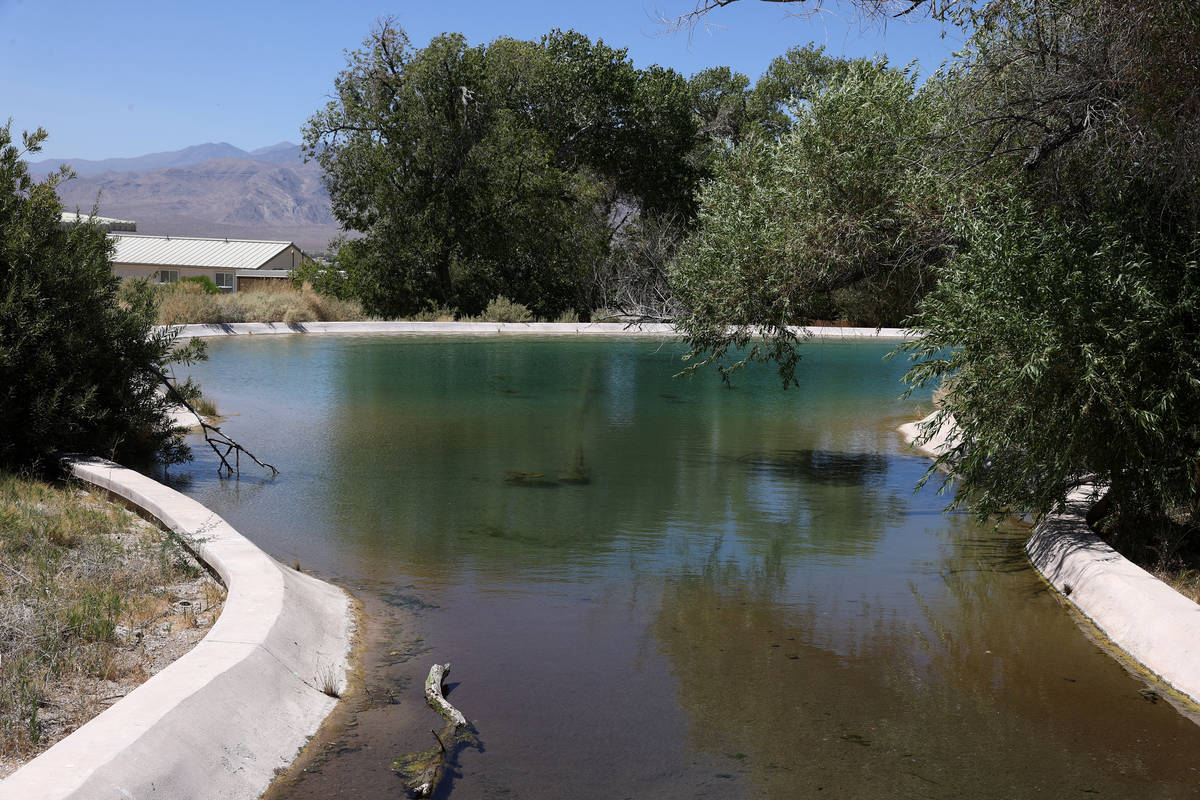 A pond at the Desert National Wildlife Refuge in Las Vegas, Wednesday, Aug. 12, 2020. (Erik Ver ...