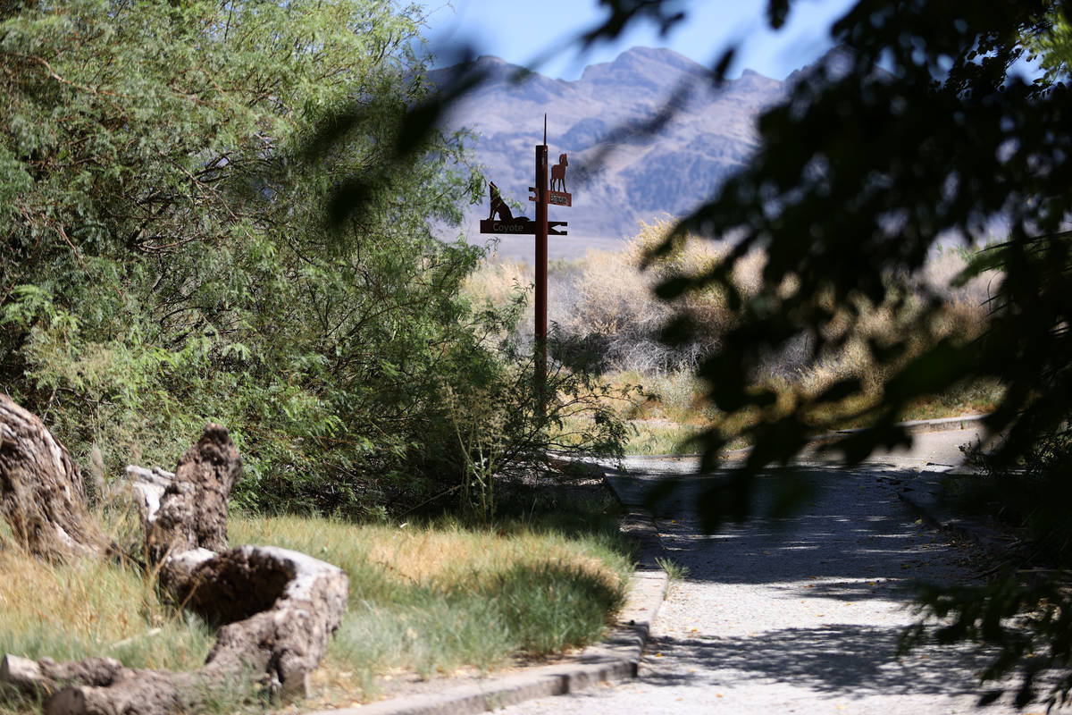 The Desert National Wildlife Refuge in Las Vegas, Wednesday, Aug. 12, 2020. (Erik Verduzco / La ...