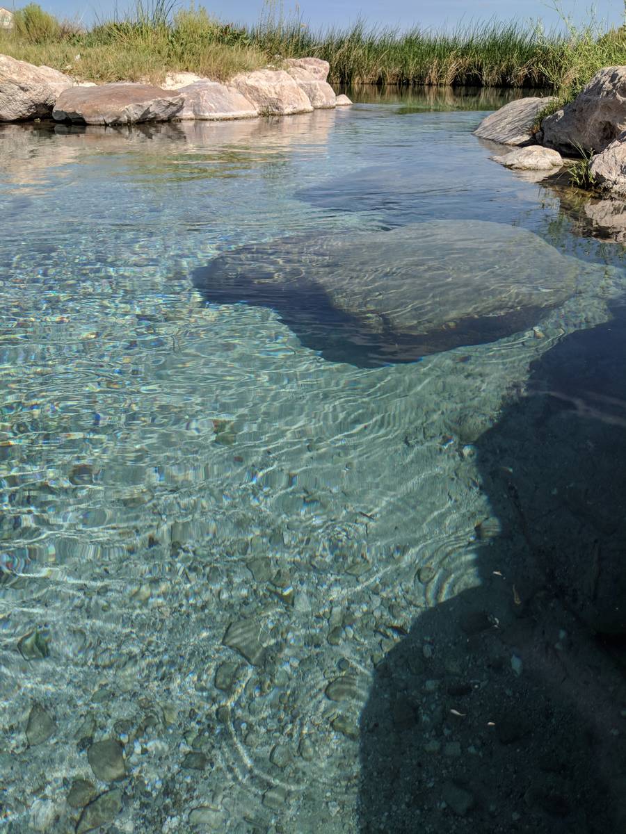 Moorman White River (Patrick Donnelly / Center for Biological Diversity) @BitterWaterBlue