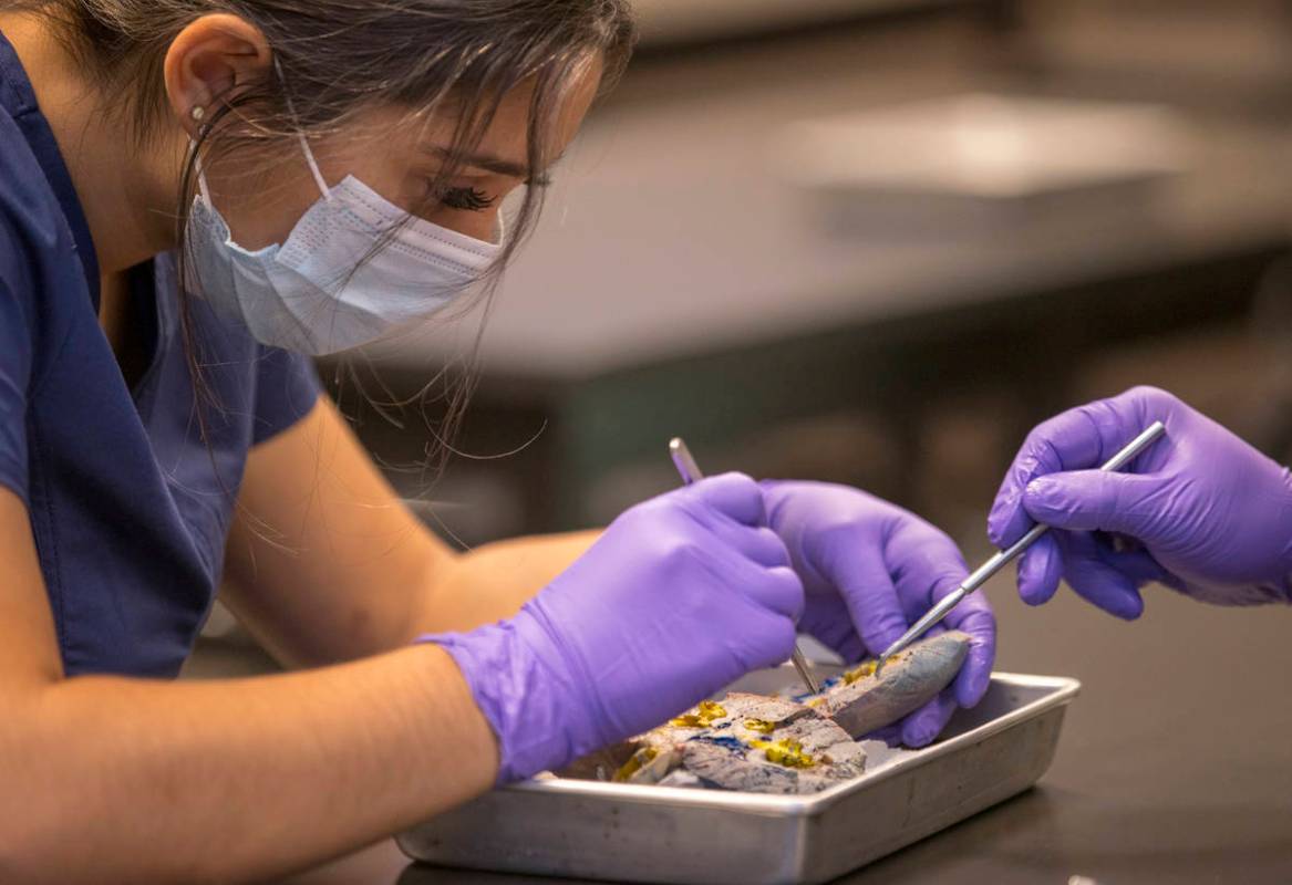 Student Lissette Sigala confers on parts with Dr. Hon-Vu Q. Duong during his Biology 224 Ð ...