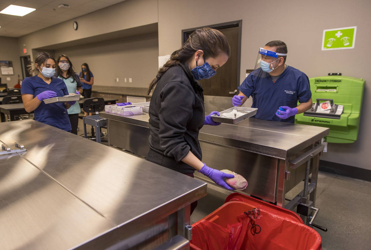 Student Jessica Buchana, center, deposits a dissected kidney into a medical waste bag as Dr. Ho ...