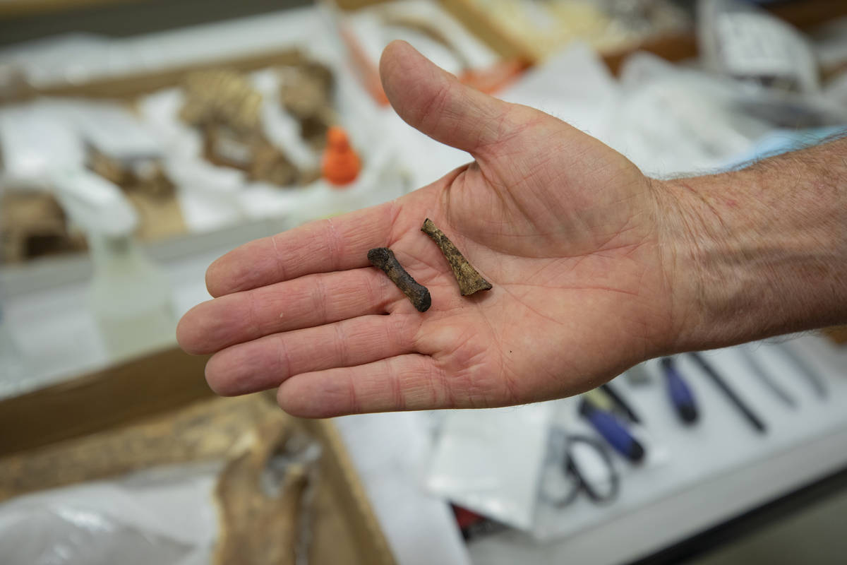 Steve Rowland, paleontologist and professor of geology at UNLV, displays Ice Age fossils recent ...
