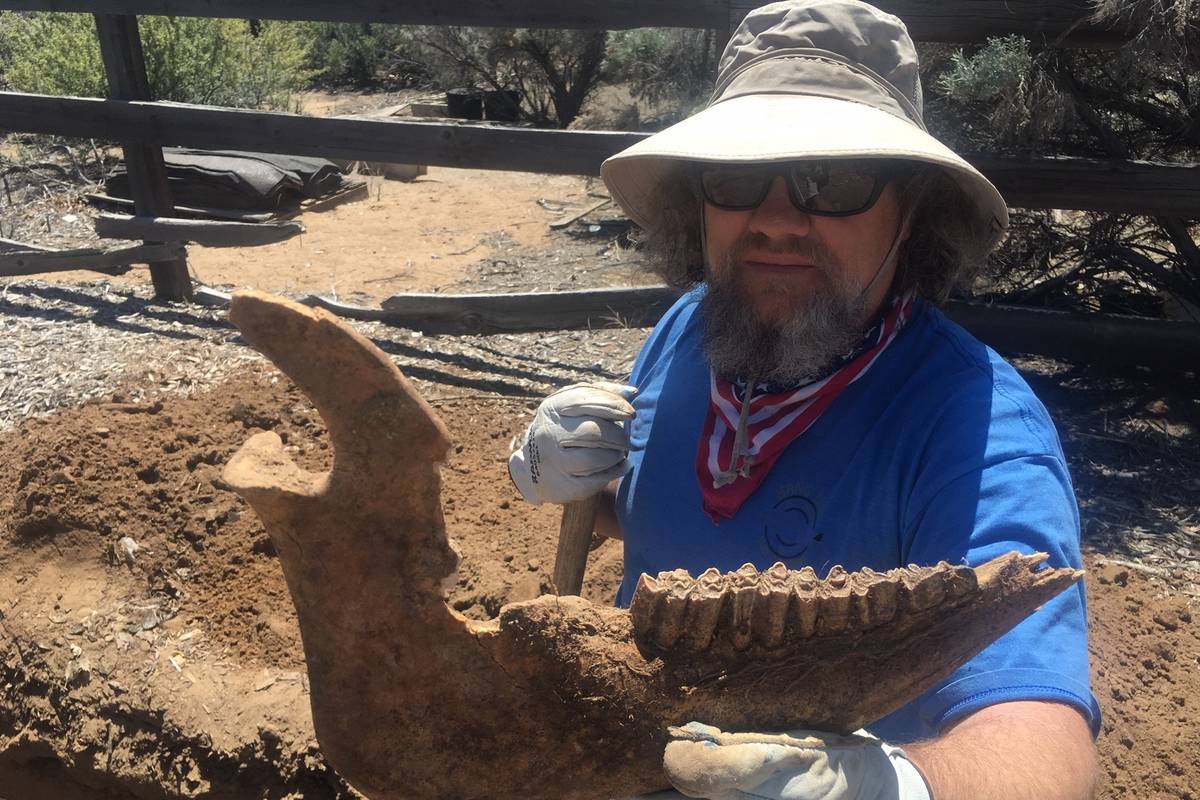 Tom Gordon of Carson City poses with what may be the lower jaw of a helmeted muskox that he fou ...