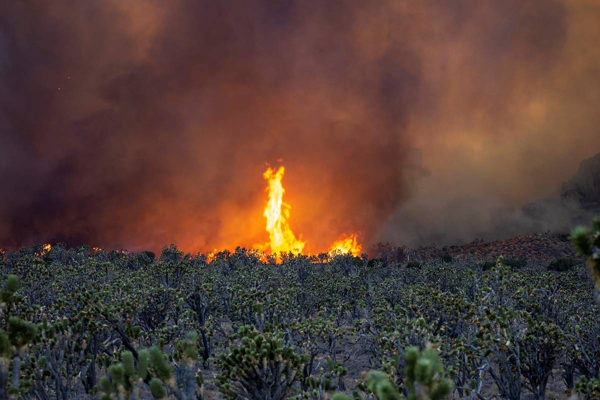 A fire burns Sunday in the Mojave National Preserve in eastern California. (Rolland Steil)