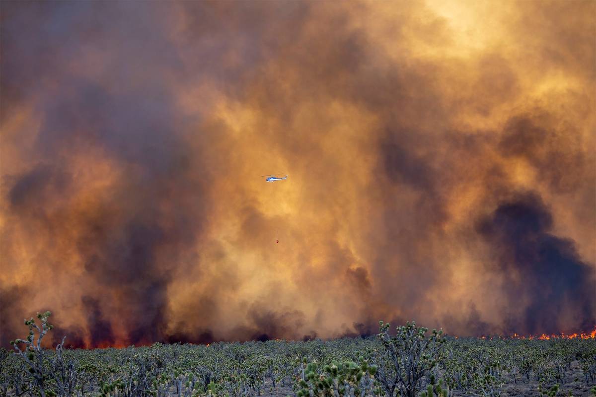 A fire burns Sunday in the Mojave National Preserve in eastern California. (Rolland Steil)