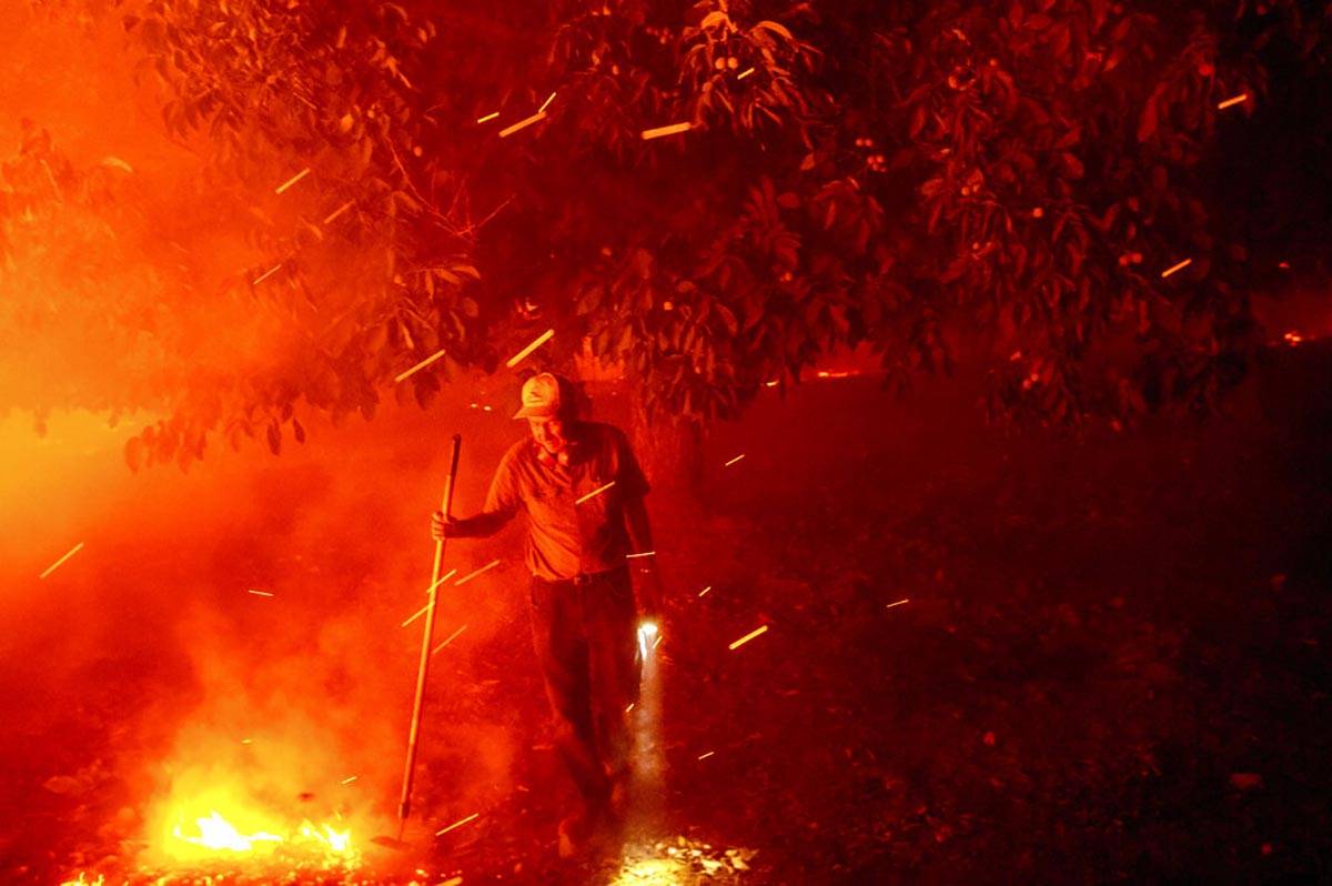 Bill Nichols, 84, works to save his home as the LNU Lightning Complex fires tear through Vacavi ...