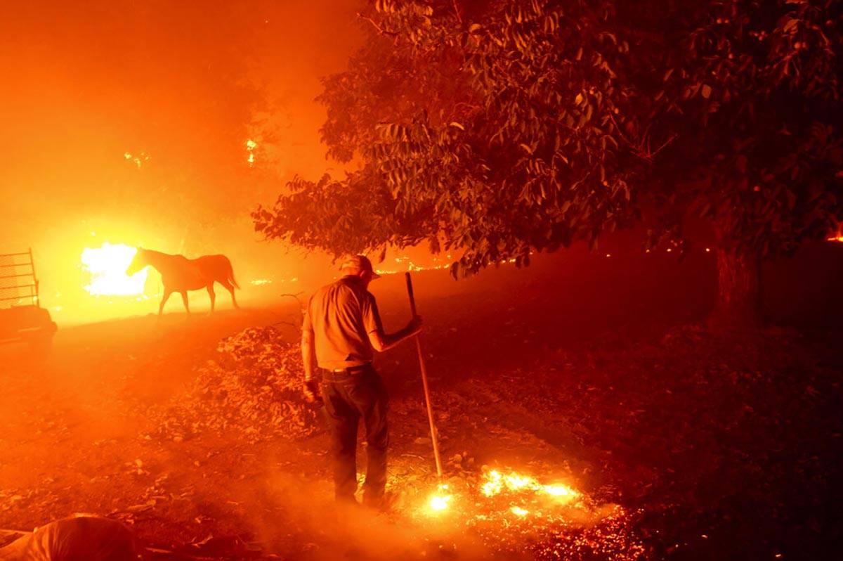 Bill Nichols, 84, works to save his home as the LNU Lightning Complex fires tear through Vacavi ...