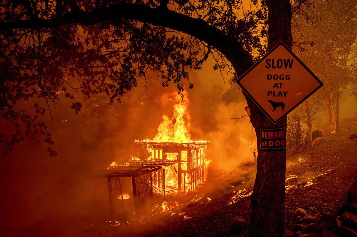 An outbuilding burns as the LNU Lightning Complex fires tear through the Spanish Flat area of u ...