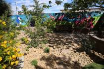 A new healing garden at the Shade Tree shelter in North Las Vegas is photographed during a tour ...