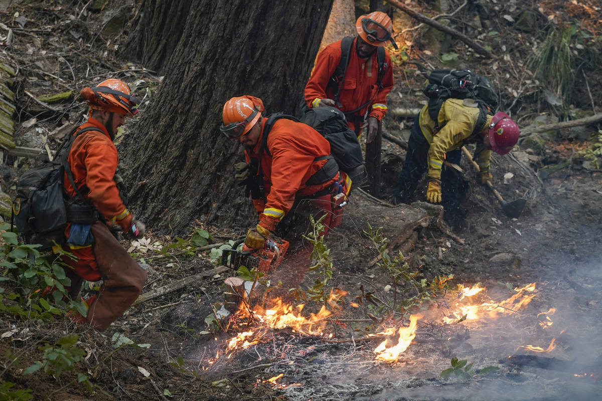 A California Dept. of Corrections fire crew puts down hot spots while fighting the CZU August L ...