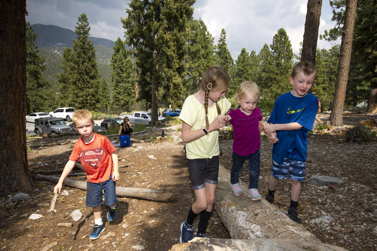 Kent Sorensen, 6, right, and Kyleigh Sorensen, 11, center, help their sister Rose Sorensen, 1, ...