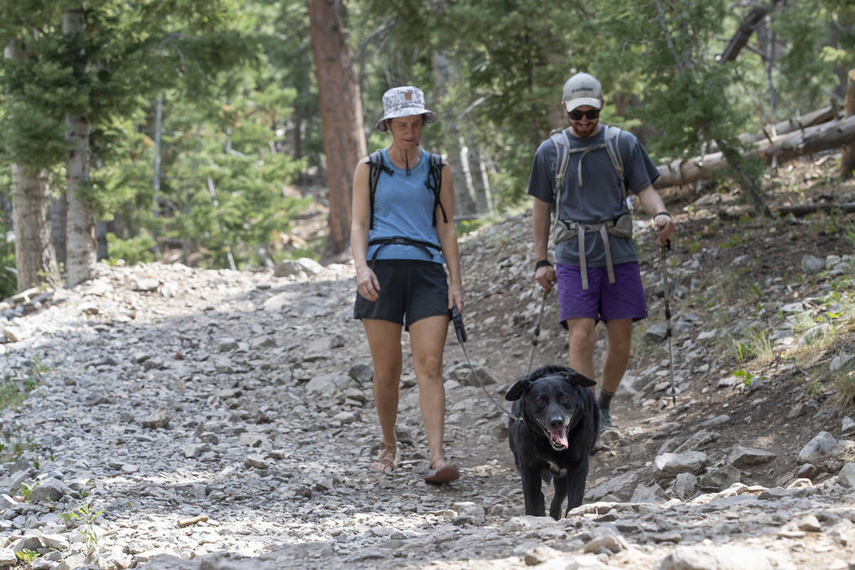 Mary Felker and Herb Page finish their descent from Griffith Peak with black labrador and borde ...