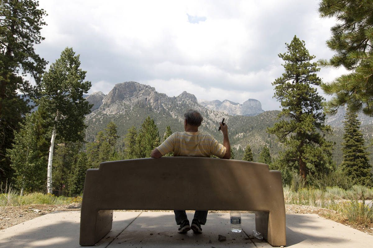 Daryl Marse of Phoenix talks on the phone with his son while enjoying the scenery at Spring Mou ...