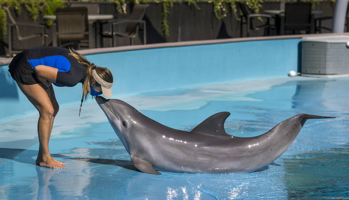 Lead Dolphin Care Specialist Amanda Meyer shares a kiss with a dolphin during training within S ...